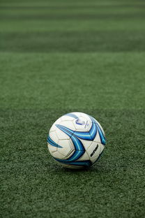 九游娱乐APP-校园足球联赛启动基层青训营选拔工作展开，2020足球青训选拔