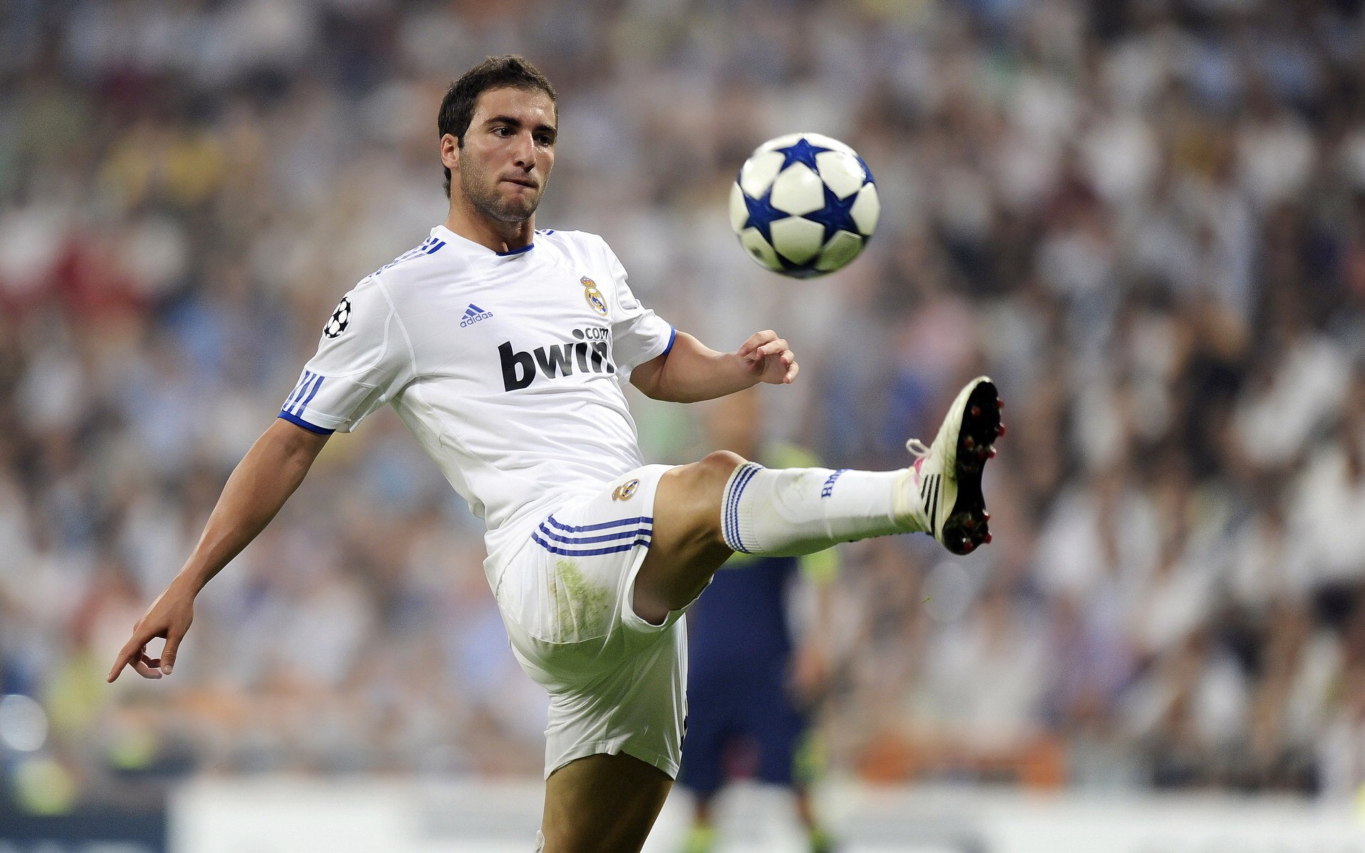 九游官网下载电脑版-“美洲狮队新一代球员表现出色,未来值得期待”