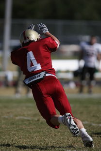 九游网页版入口-中国足球俱乐部加强数据分析应用,我国各俱乐部数据分析